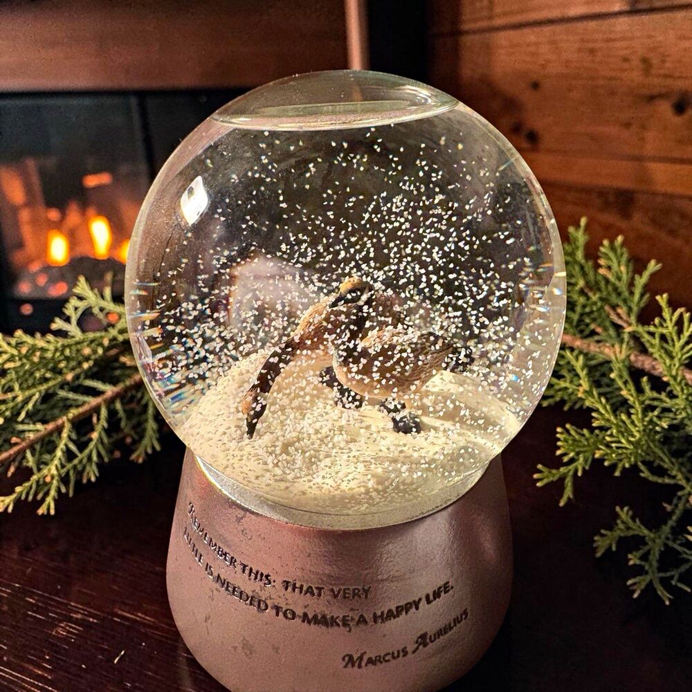Department 56 Serenity Sphere Musical Snow Globe Loon & Wind Marcus Aurelius VTG